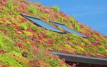 Wytham living roof systems