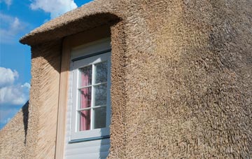 Wytham thatch roof disadvantages